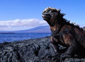 Islas Galápagos