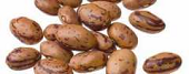 Frijoles